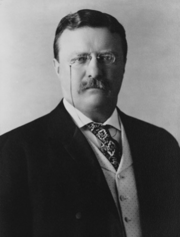 president_theodore_roosevelt_1904